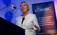 CorkBIC 25 year Celebration